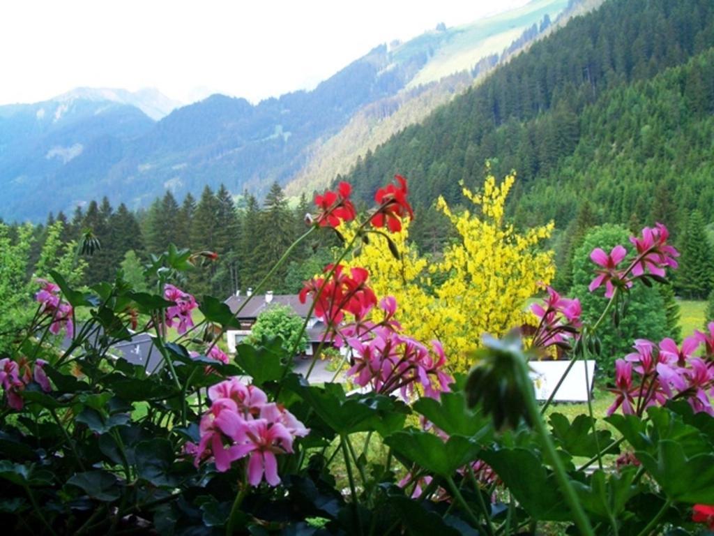 Haus Alpina Apartment Haeselgehr ภายนอก รูปภาพ