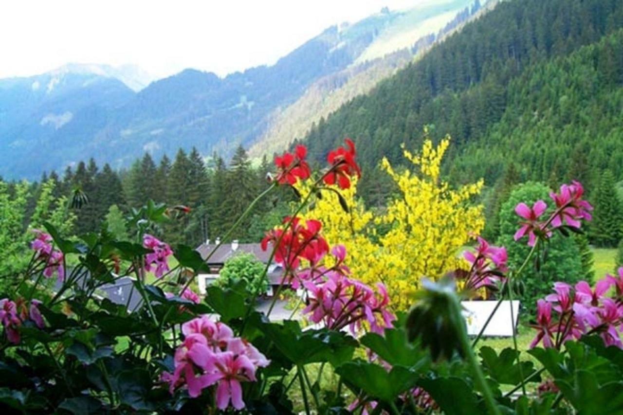 Haus Alpina Apartment Haeselgehr ภายนอก รูปภาพ